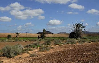 Fuerteventura1
